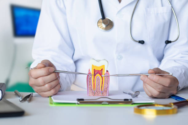Best Cracked Tooth Emergency Dentist  in Union City, IN